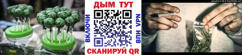как найти наркотики  Елизаветинская  Cannafood конопля 