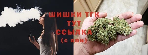 винт Абаза
