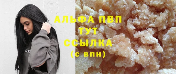 винт Абаза