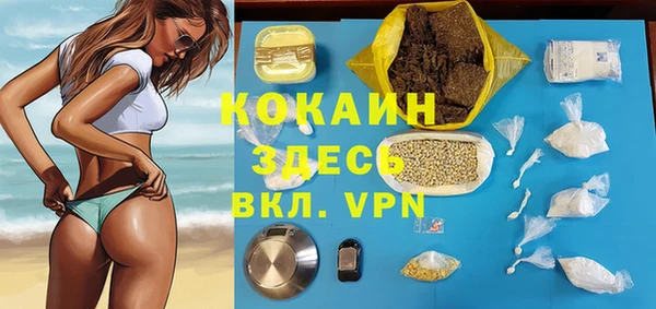 винт Абаза
