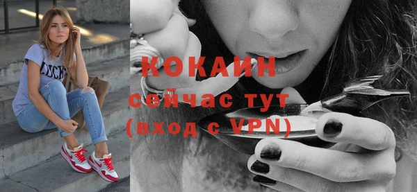 винт Абаза