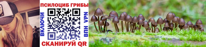 Галлюциногенные грибы Magic Shrooms  Елизаветинская 