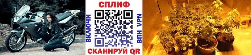 где купить наркоту  Елизаветинская  Каннабис White Widow 